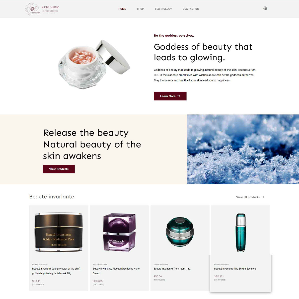 jpress portfolio satomedic preview