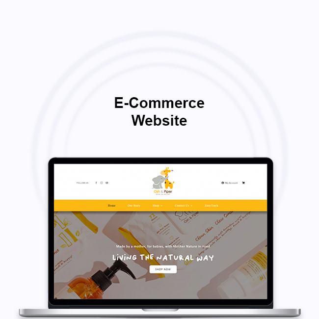 Corporate Website
